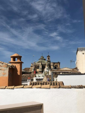 Ático Mirador de Peregrinos